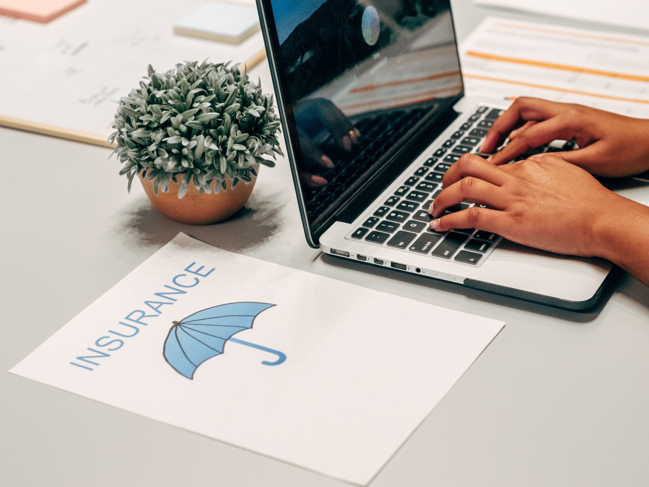 Audience Data Providers Insurance Marketing